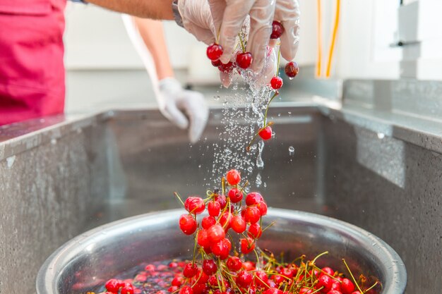 Washing red cherry berries in the water