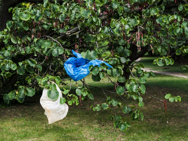 Free photo waste plastic bag handing on tree branch at park