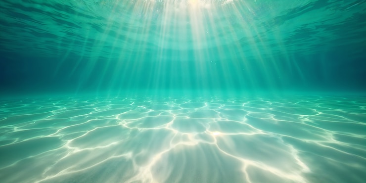 無料Photo 異なる環境における水