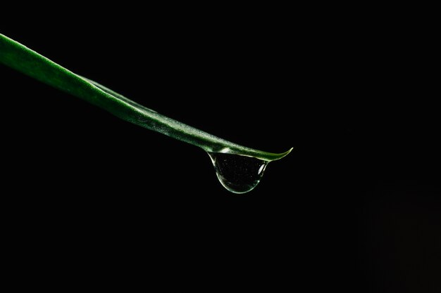 Water drop on grass blade