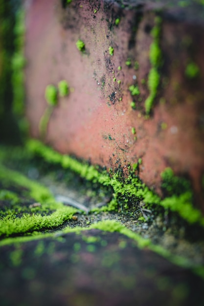 Water droplets on brown concrete wall