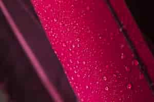 Free photo water droplets on the pink feather surface