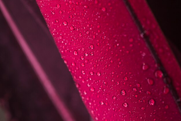 Water droplets on the pink feather surface