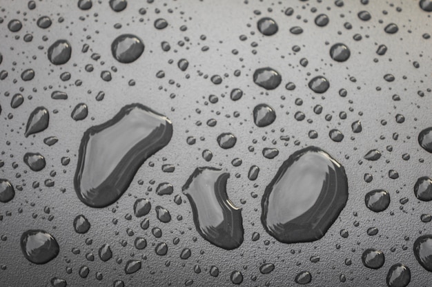 Free photo water drops on black blackground .