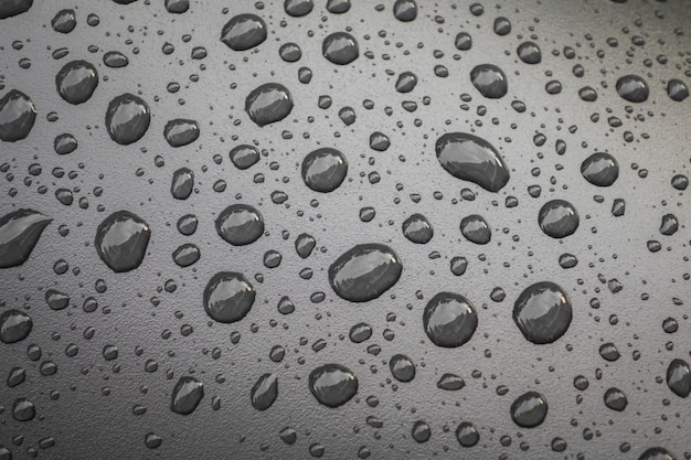 Free photo water drops on black blackground .