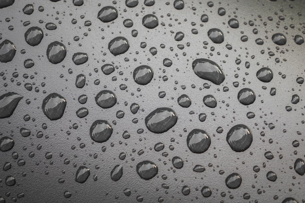 Water drops on black blackground .