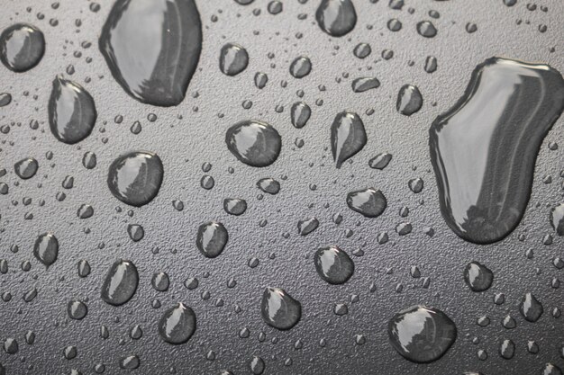 Water drops on black blackground .