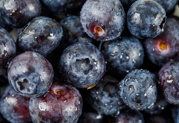 Water drops on ripe sweet blueberry . close-up.