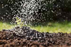 Foto gratuita l'acqua che cade su una pianta