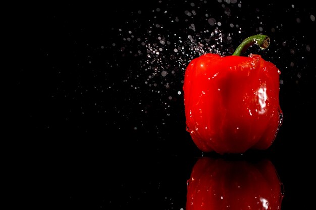 Water falls on wet red pepper which stands on black background