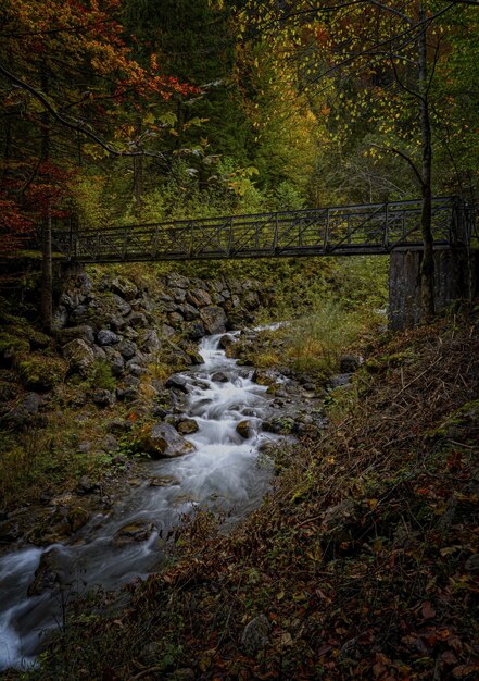 Water flowing on brown wooden bridge