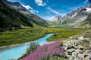Бесплатное фото Ручей в окружении гор и цветов в солнечный день