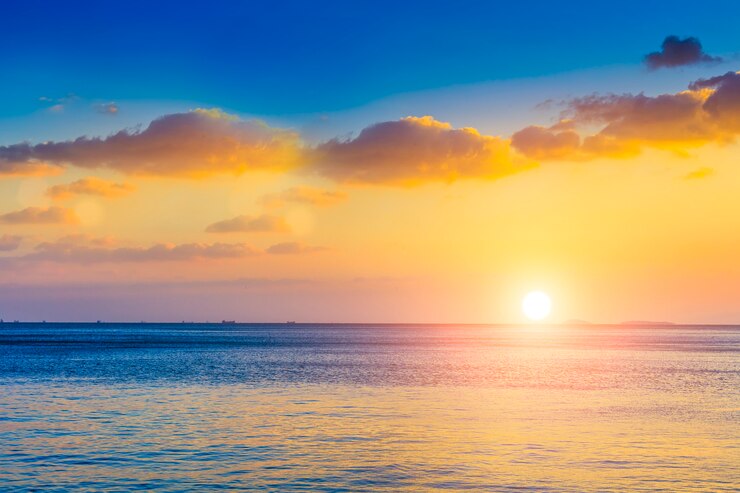 Free Photo water sunlight lifestyle texture vacation natural