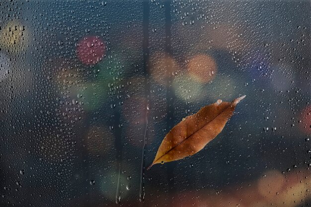 Water texture background, brown leaf on glass window