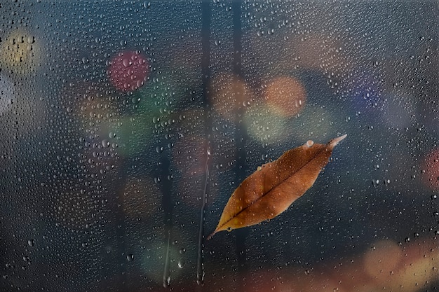 水の質感の背景、ガラス窓に茶色の葉