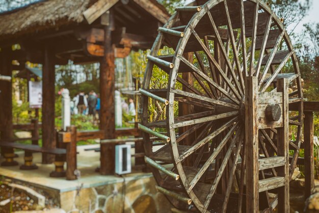 Water Wheels On River Amidst Trees