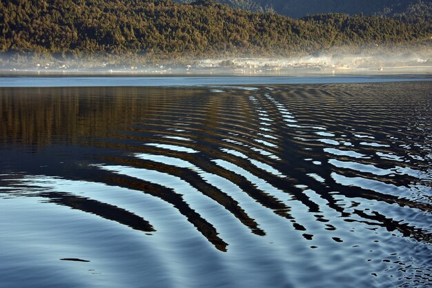 Water with reflection on it and a forest on the background