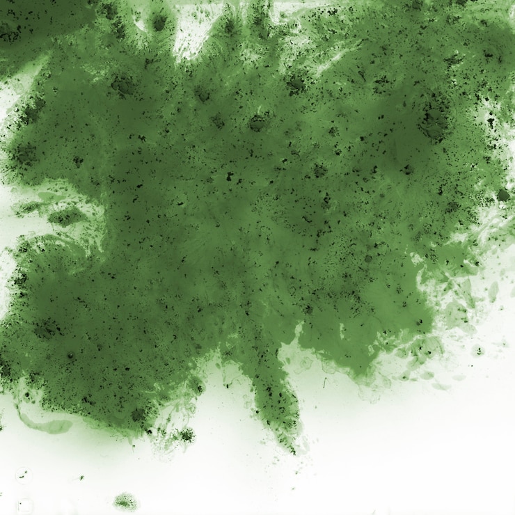 Free Photo watercolor paint background for holi festival