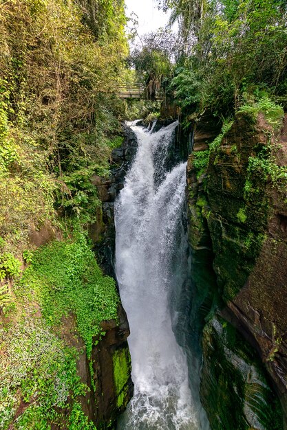 Waterfal в национальном парке Игуасу Катаратас, Аргентина