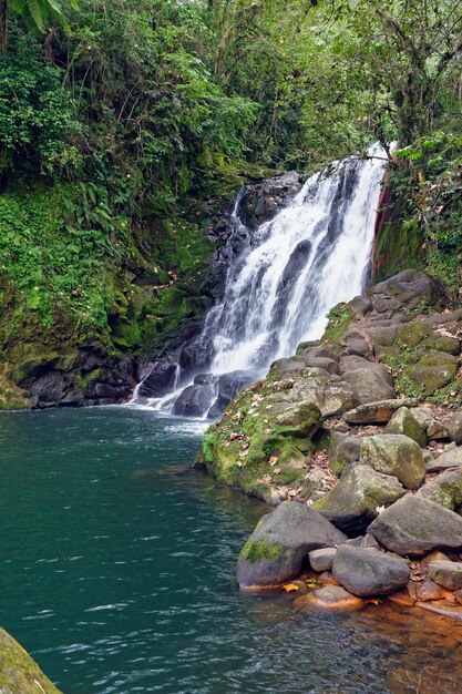 メキシコ、シコの滝Cascada De Texolo