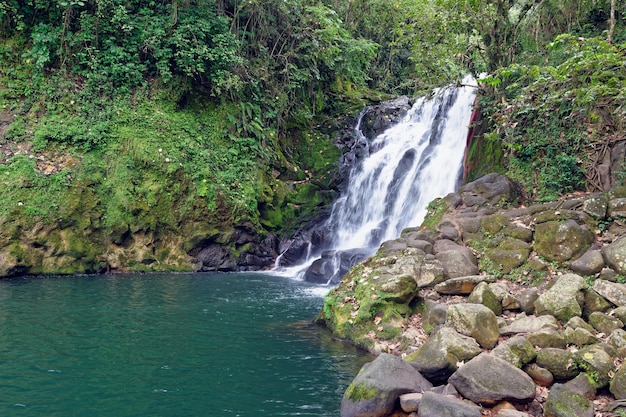 メキシコ、シコの滝Cascada De Texolo