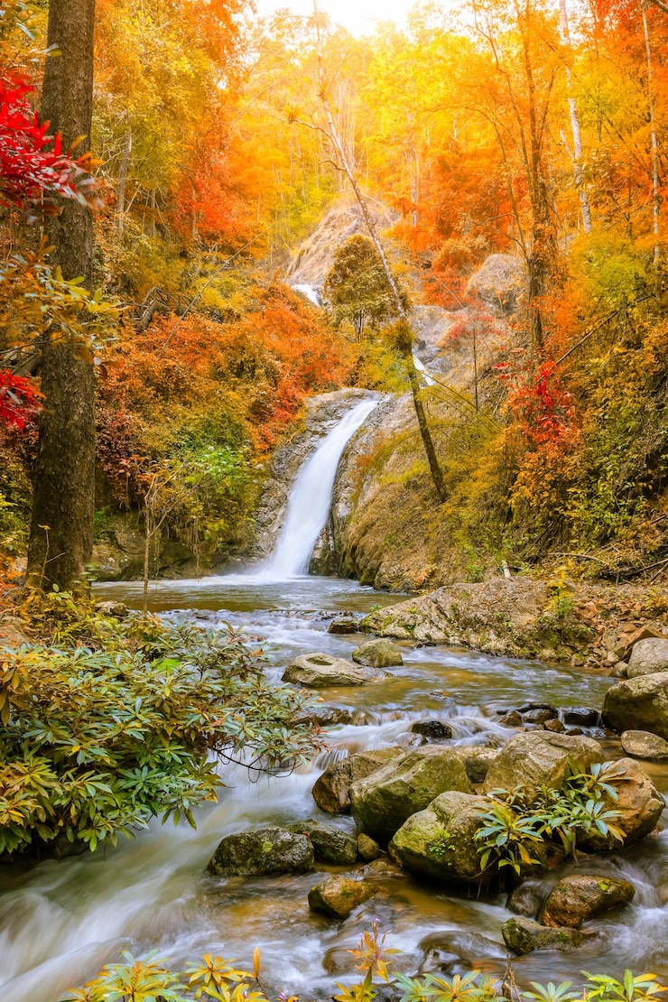Free Photo waterfall in chae son national park lampang thailand