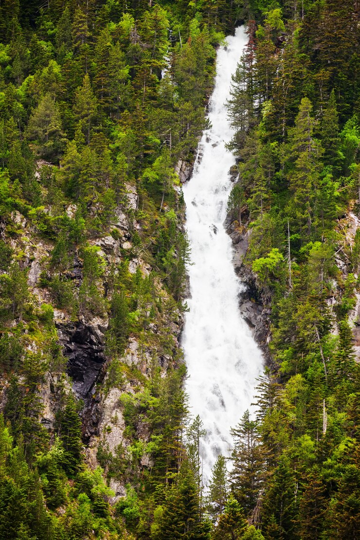 Free Photo waterfall in mountain forests