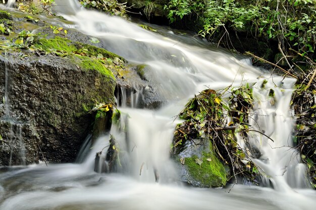 「自然に流れ込む滝」