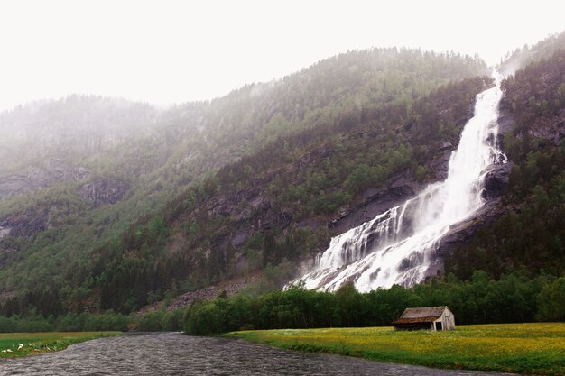 Waterfall on the tall rock 