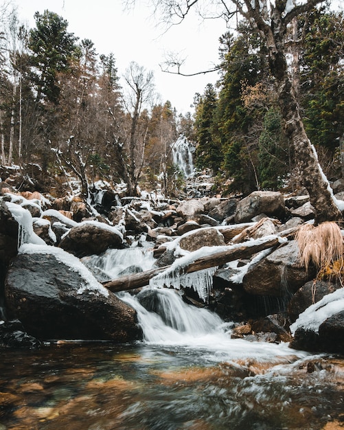 Waterfall with fallen trees, snow and stalactites in the forest