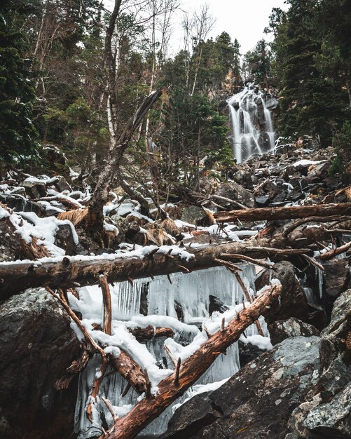 Waterfall with fallen trees and stalactites in the forest