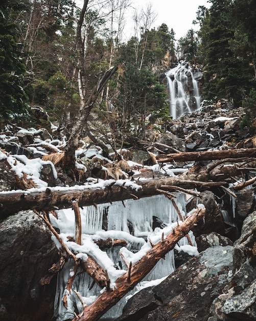 Waterfall with fallen trees and stalactites in the forest