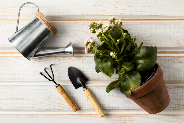 Free photo watering can and flower pot