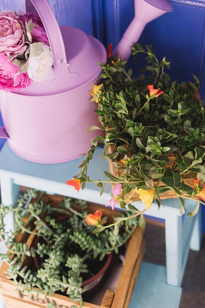 Watering can next to flowers