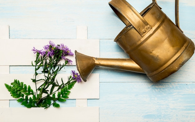 Watering can and purple flowers