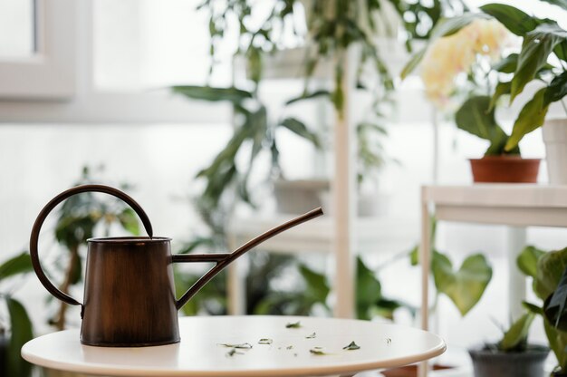 Watering can on table in the apartment with plants
