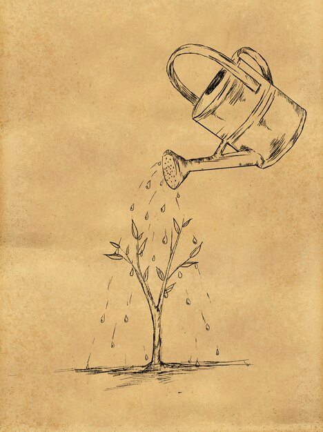 Watering Plant sketch on Paper