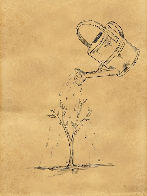 Watering Plant sketch on Paper