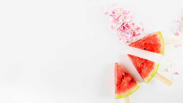 Free photo watermelon near petals