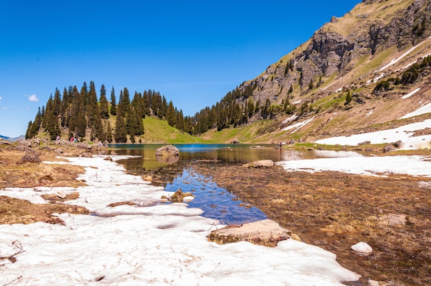 Воды озера Lac Lioson в окружении деревьев и гор в Швейцарии