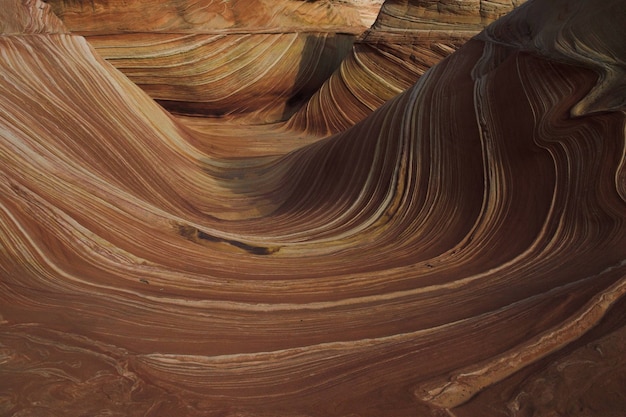 Wave sandstone rock formations in Arizona, United States