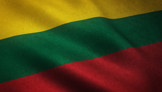 リトアニアの旗を振っています。