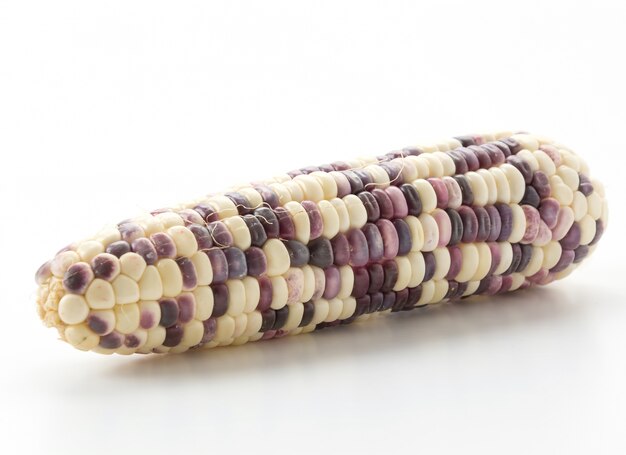 Waxy corn