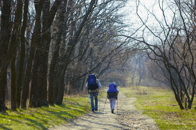 Way of two loving hearts. Aged family couple of man and woman in tourist outfit walking at green lawn near by trees in sunny day. Concept of tourism, healthy lifestyle, relaxation and togetherness.