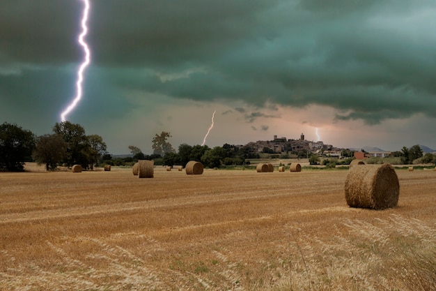 Foto gratuita concetto di collage di effetti meteorologici