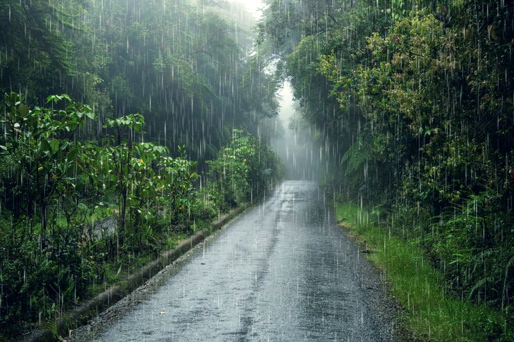 dung quan tam nguyen si kha • rainy day memories • 2023