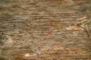 Foto gratuita pezzo weathered di legno