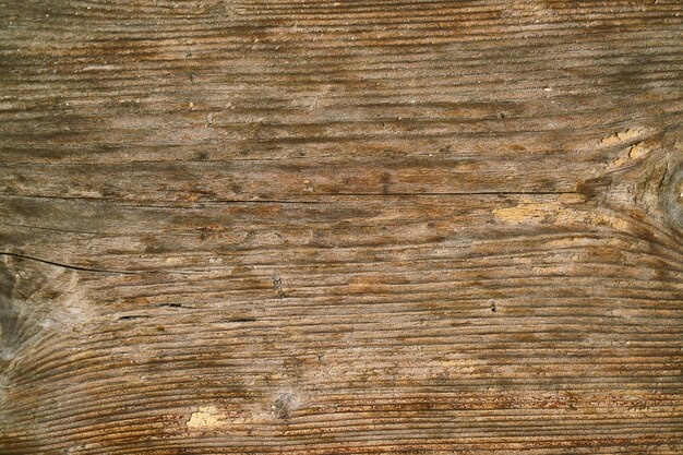 Weathered piece of wood