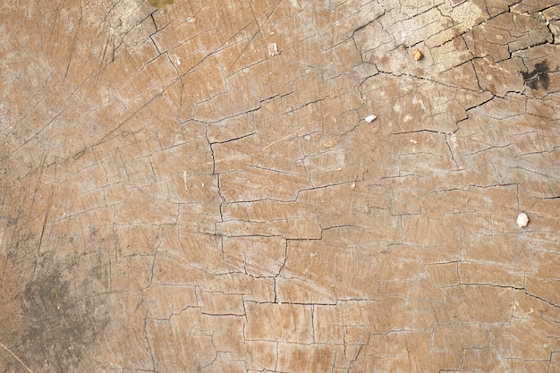 Weathered wooden texture