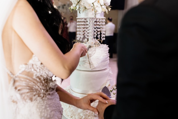 Wedding ceremony of cake cutting with groom and bride